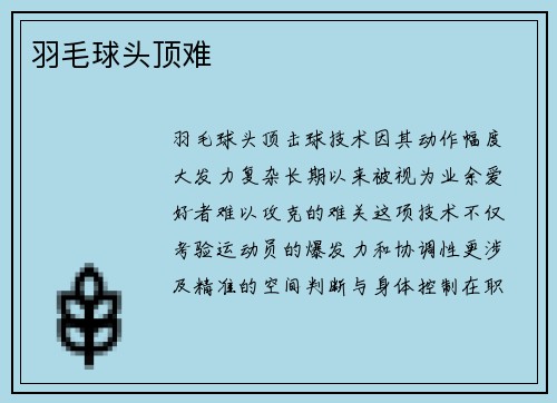 羽毛球头顶难